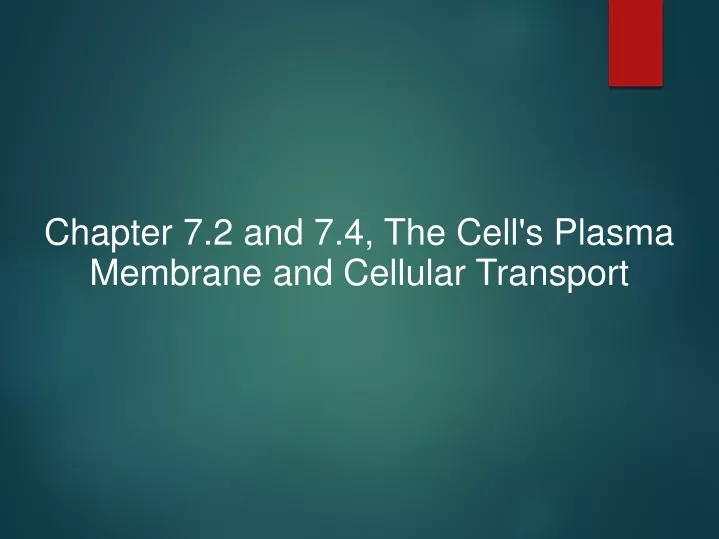 chapter 7 2 and 7 4 the cell s plasma membrane