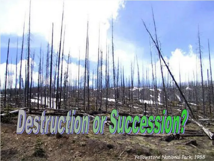 destruction or succession