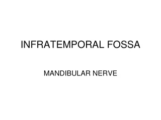 INFRATEMPORAL FOSSA