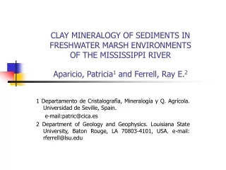 1 Departamento de Cristalografía, Mineralogía y Q. Agrícola. Universidad de Seville, Spain.