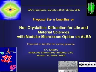 Proposal for a beamline on Non Crystalline Diffraction for Life and Material Sciences