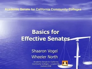 Basics for Effective Senates