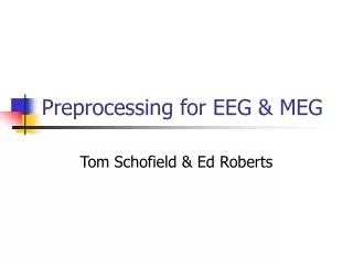 Preprocessing for EEG &amp; MEG