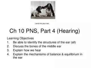 Ch  10 PNS, Part 4 (Hearing)