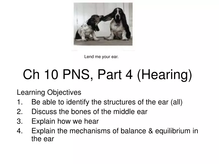 ch 10 pns part 4 hearing