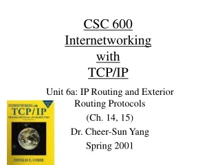 CSC 600 Internetworking  with TCP/IP