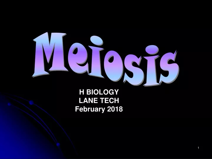 meiosis