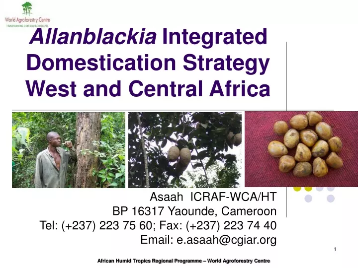 allanblackia integrated domestication strategy west and central africa