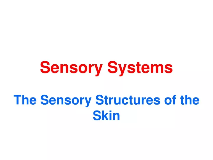 sensory systems