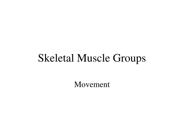 skeletal muscle groups