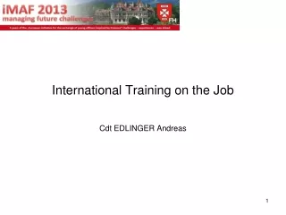 International Training on the Job