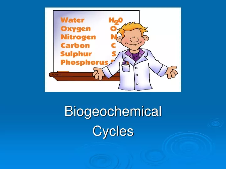 biogeochemical cycles
