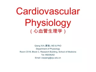 Cardiovascular Physiology （心血管生理学）