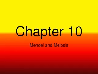 Chapter 10