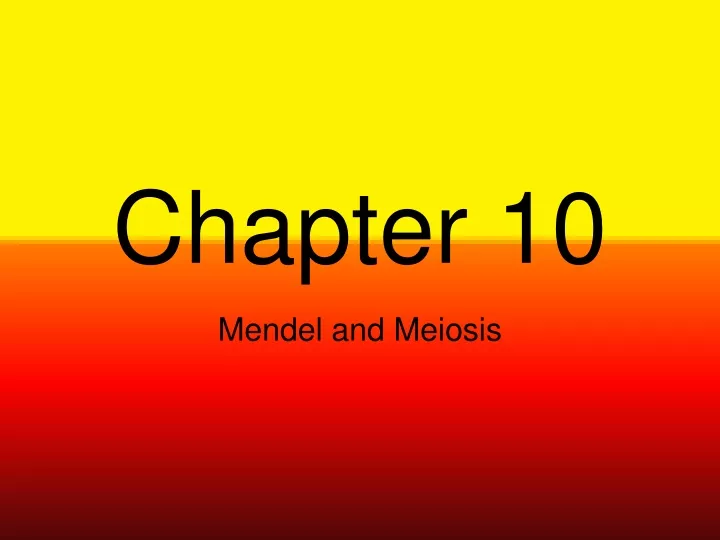 chapter 10