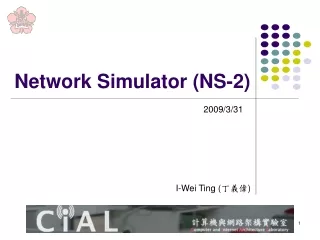 Network Simulator (NS-2)