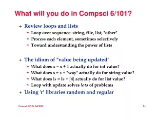 What will you do in Compsci 6/101?