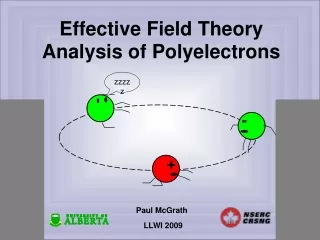 Effective Field Theory Analysis of Polyelectrons