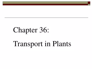 Chapter 36:  Transport in Plants