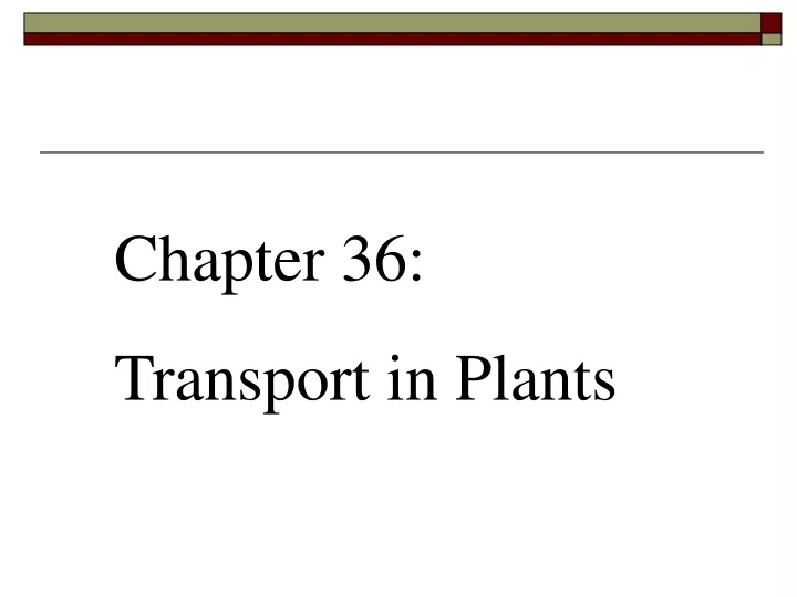 chapter 36 transport in plants