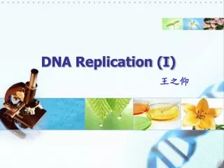 DNA Replication (I)