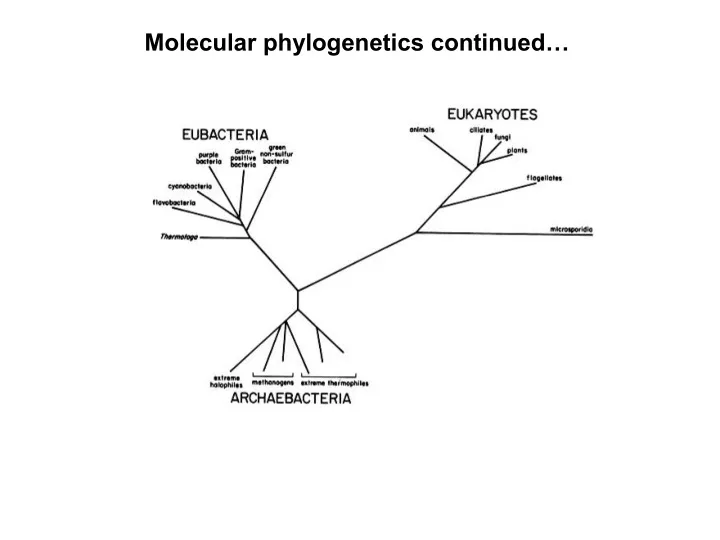 molecular phylogenetics continued
