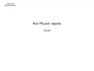 Run P6 prof. reports Concept