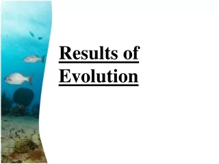 Results  of  Evolution