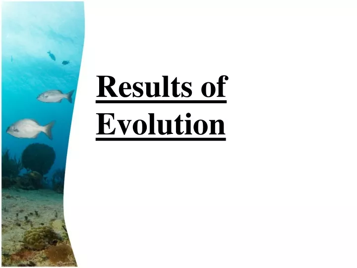 results of evolution