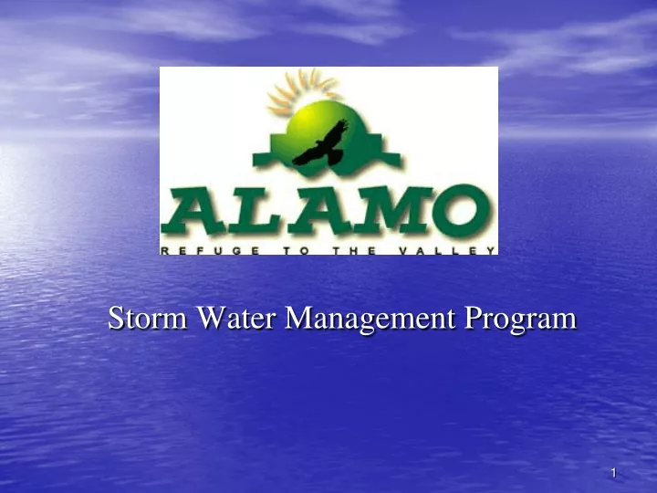 storm water management program