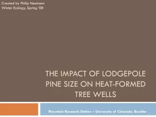 The impact of  Lodgepole  Pine size on Heat-Formed Tree Wells