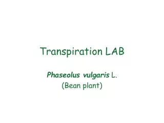 Transpiration LAB
