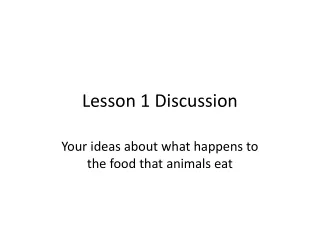 Lesson 1 Discussion