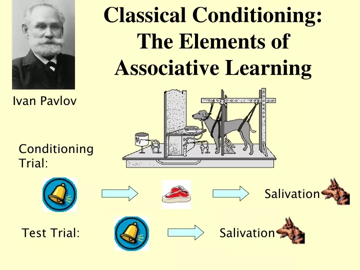 classical conditioning the elements of associative learning