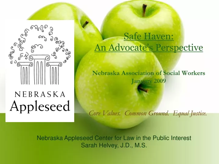 safe haven an advocate s perspective nebraska association of social workers january 2009