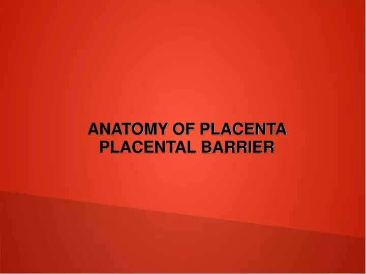 anatomy of placenta placental barrier