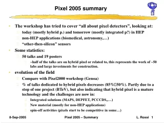 Pixel 2005 summary