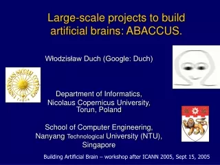 Large-scale projects to build artificial brains :  ABACCUS.