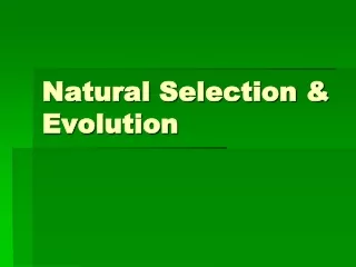 Natural Selection &amp; Evolution