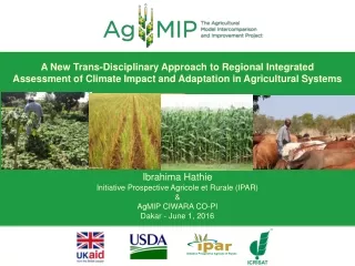 Ibrahima Hathie Initiative Prospective Agricole et Rurale (IPAR) &amp; AgMIP CIWARA CO-PI