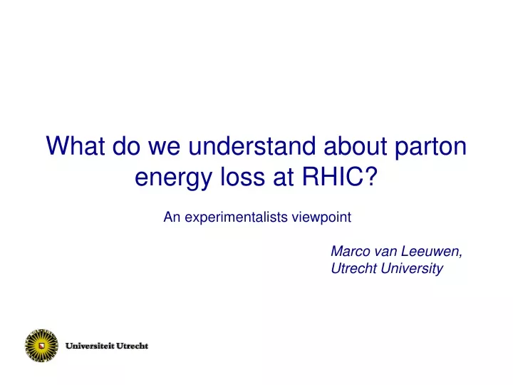 what do we understand about parton energy loss at rhic