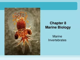 Chapter 8 Marine Biology