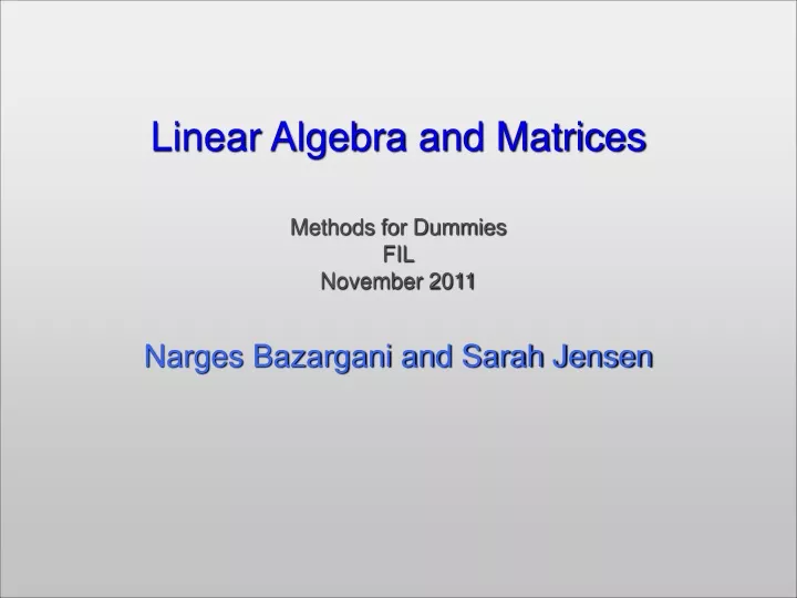 linear algebra and matrices methods for dummies