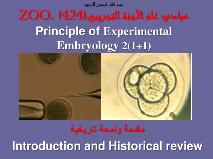 zoo 424 principle of experimental embryology 2 1 1