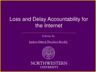 Loss and Delay Accountability for the Internet