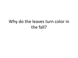 Why do the leaves turn color in the fall?