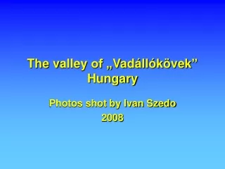 The  v alley  of „ Vadállókövek ”  Hungary