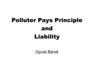 Polluter Pays Principle  and  Liability Gyula Bándi