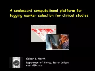 A coalescent computational platform for tagging marker selection for clinical studies