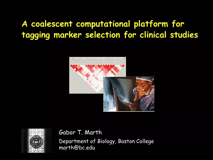 a coalescent computational platform for tagging marker selection for clinical studies